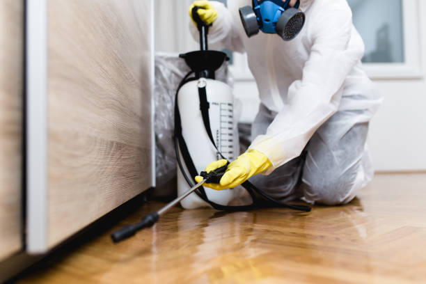 Best Pest Prevention Services  in Medina, OH