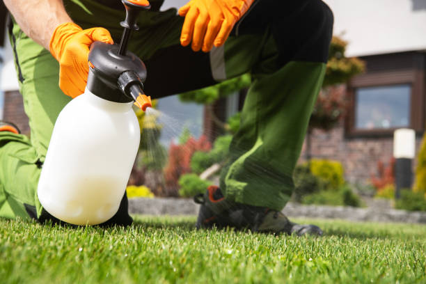 Best Mosquito Control Services  in Medina, OH