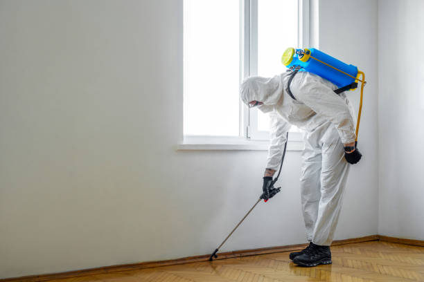 Best Pest Removal Services  in Medina, OH