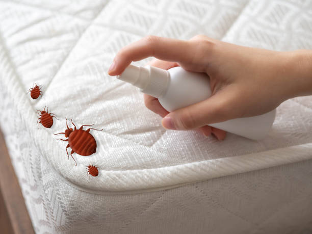 Best Local Pest Control Services  in Medina, OH